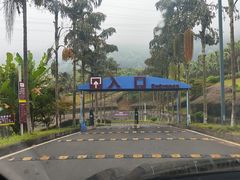 -重庆海昌加勒比海水世界