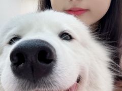 -汪说·狗咖·拼豆·宠物周边DIY(旺城大厦店)