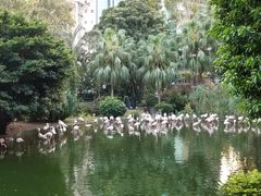 -九龙公园