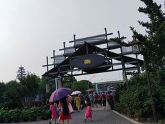 -荷塘月色湿地公园·向阳花洲