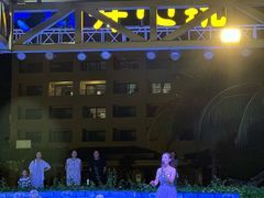 -渔家火锅·海鲜自助餐·演艺(亚龙湾天域酒店)