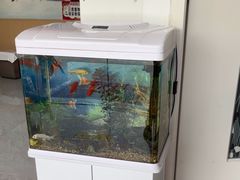 -郑远元专业修脚房·按摩·肉刺·灰指甲(东安路店)