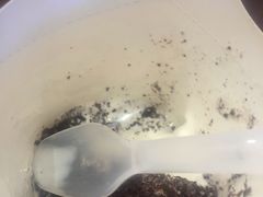 -麦当劳(新世纪环球中心店)