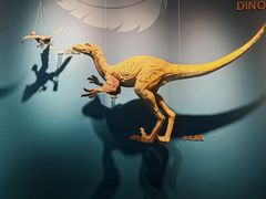 -自贡恐龙博物馆