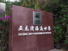 -亚龙湾海底世界
