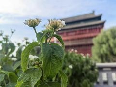 -苦尽酒馆·川菜(鼓楼店)