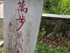 -金鸡湖桃花岛