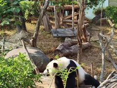 -南宁市动物园