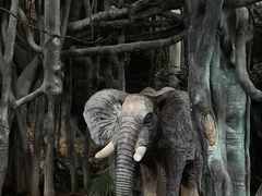 -龙达温泉生态城