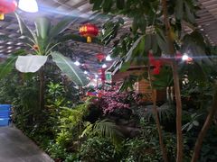 -兴芮温泉度假区