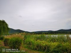 -江阴敔山湖公园