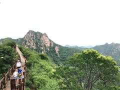 -大岭沟猕猴桃谷风景区