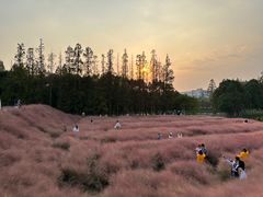 -嘉北郊野公园
