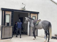 -北京群众马术培训基地