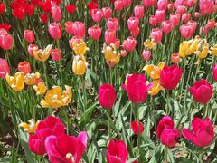 -国家植物园南园