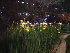 -活水公园