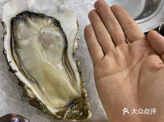 紫来还是那个紫来,生蚝比以前更好了