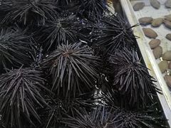 -板桥海鲜广场(文明东店)