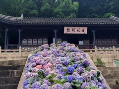 -苏州上方山国家森林公园