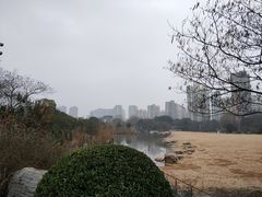 -青枫公园