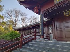 -潜山国家森林公园