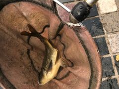 -酷鱼垂钓CLUB(朝阳区博大路店 )