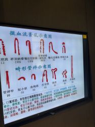 -欧兔博士·O2BOX微高压氧舱