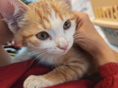 -万达广场(龙湖店)