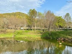 -合肥野生动物园