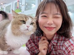 -青奢宠物·青奢猫舍