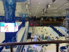 -长沙湘江冰雪世界