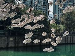 -红星桥(地铁站)