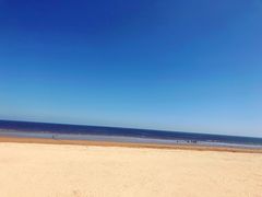 -日照海滨国家森林公园