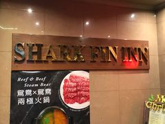 -食为先(Shark Fin)