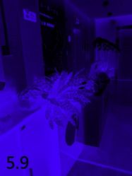 -Yestar杭州艺星医疗美容医院