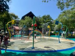 -苏州乐园森林水世界