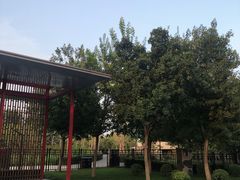 -大望京公园