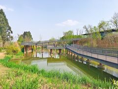 -白鹭湾湿地公园