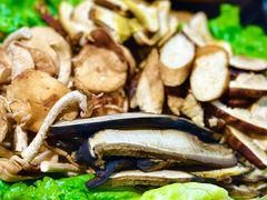 -阿山卓·野生菌火锅·纳西火塘烤肉