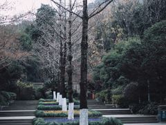 -杭州半山国家森林公园