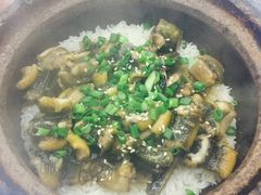 -红星光发煲仔饭(大石街店)