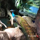 这家新概念动物乐园，儿童节的亲子票超划算！