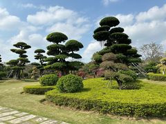 -南宁南湖公园