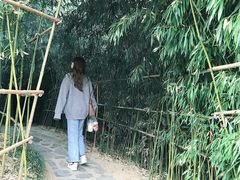 -竹子庵公园