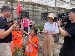 -上海市白玉兰幼儿园