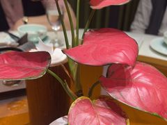 -一江水食府(后湖店)
