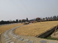 -夏河溪乡野公园