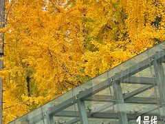 -高庙村(地铁站)