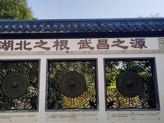 -武汉园博园(武汉自然博物馆)