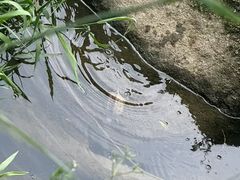 -九鲤溪瀑景区